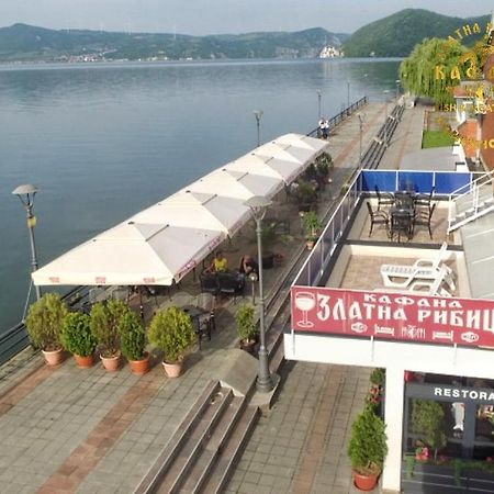 Zlatna Ribica Apartment Golubac Luaran gambar