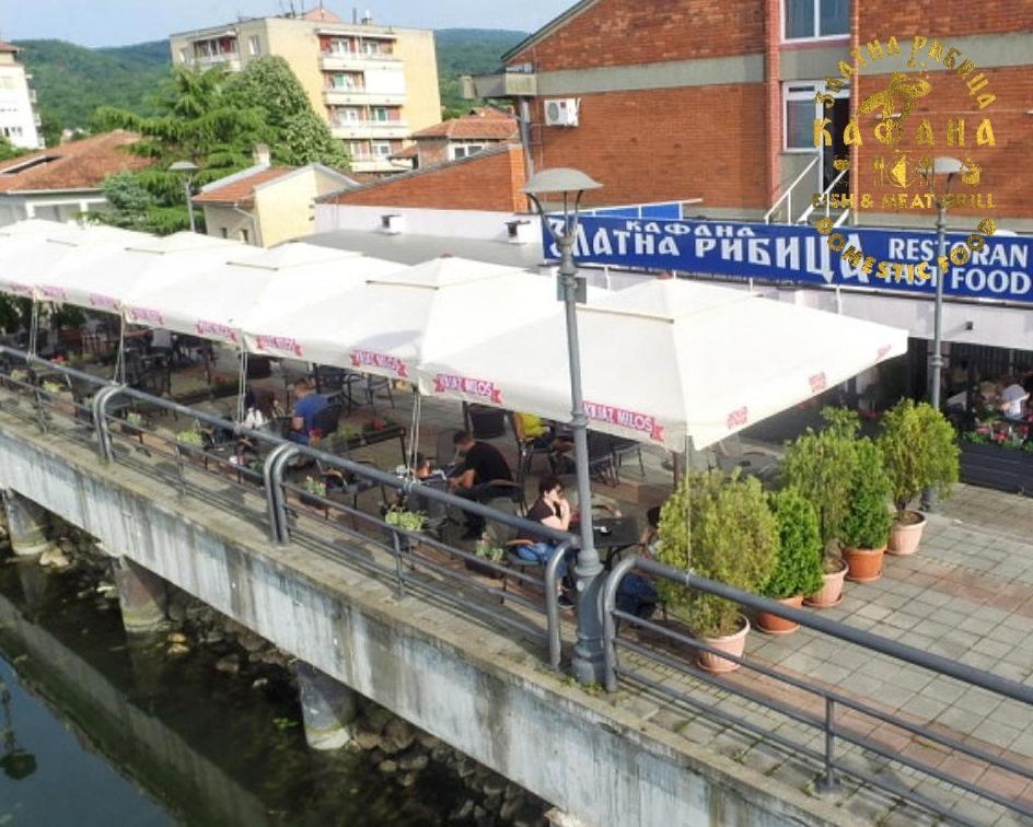 Zlatna Ribica Apartment Golubac Luaran gambar
