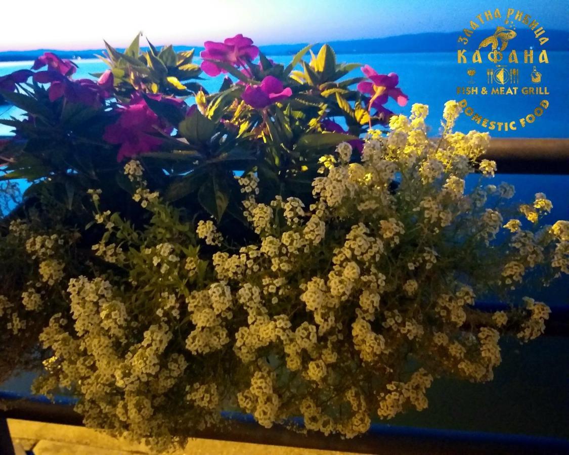 Zlatna Ribica Apartment Golubac Luaran gambar