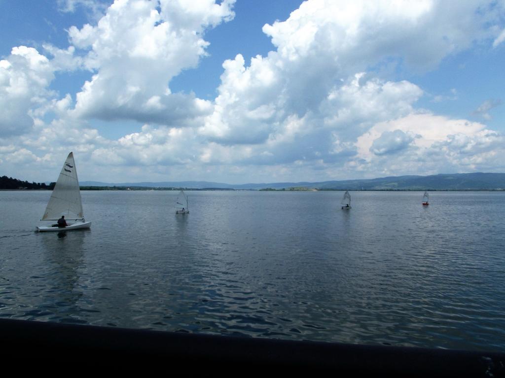 Zlatna Ribica Apartment Golubac Luaran gambar