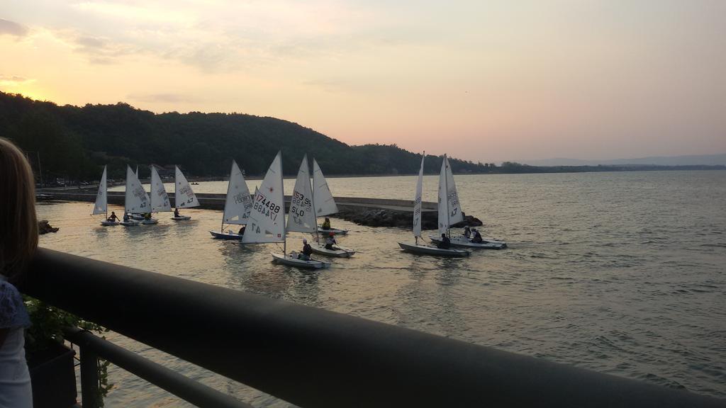 Zlatna Ribica Apartment Golubac Luaran gambar