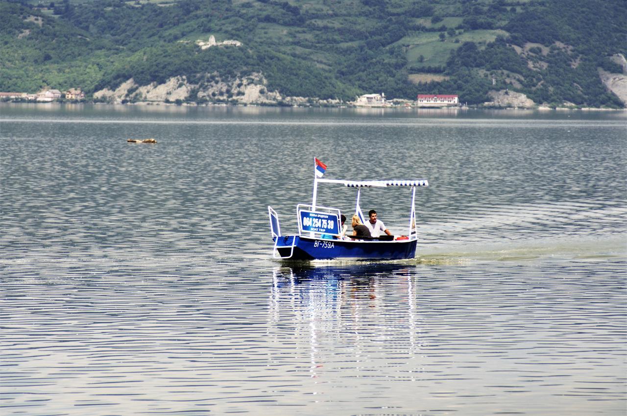 Zlatna Ribica Apartment Golubac Luaran gambar
